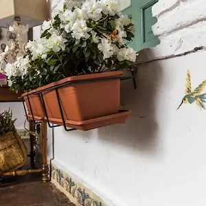 Patio Marquez Cordoba